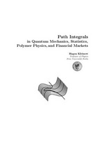 Path integrals in quantum mechanics, statistics, polymer physics, and financial markets 