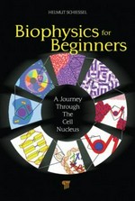 Biophysics for beginners: a journey through the cell nucleus