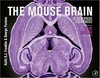 The mouse brain in stereotaxic coordinates