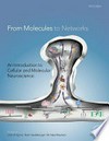 From molecules to networks: an introduction to cellular and molecular neuroscience