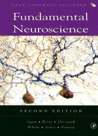 Fundamental of neuroscience