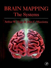 Brain mapping: the systems
