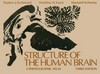 Structure of the human brain: a photographic atlas