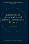 Categories of symmetries and infinite-dimensional groups