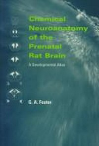 Chemical neuroanatomy of the prenatal rat brain: developmental atlas