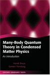 Many-body quantum theory in condensed matter physics: an introduction