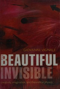 The beautiful invisible: creativity, imagination, and theoretical physics 