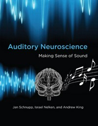 Auditory neuroscience: making sense of sound