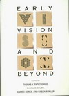 Early vision and beyond