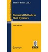 Numerical methods in fluid dynamics: lectures given at the 3rd 1983 session of the Centro internazionale matematico estivo (C.I.M.E.) held at Como, Italy, July 7-15, 1983