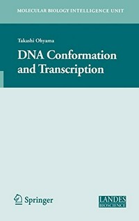 DNA Conformation and Transcription