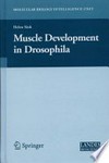Muscle Development in Drosophila
