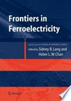 Frontiers of Ferroelectricity: A Special Issue of the Journal of Materials Science