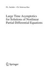 Large Time Asymptotics for Solutions of Nonlinear Partial Differential Equations