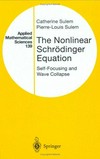 The nonlinear Schrödinger equation : self-focusing and wave collapse