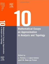 Ten mathematical essays on approximation in analysis and topology