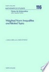 Weighted norm inequalities and related topics