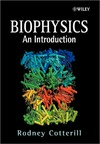 Biophysics: an introduction 