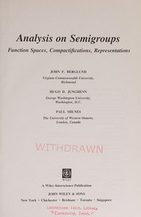 Analysis on semigroups: function spaces, compactifications, representations 