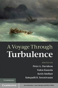 A voyage through turbulence