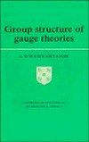 Group structure of gauge theories