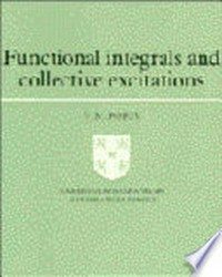Functional integrals and collective excitations