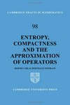 Entropy, compactness and the approximation of operators
