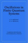 Oscillations in finite quantum system