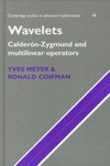 Wavelets: Calderon-Zygmund and multilinear operators