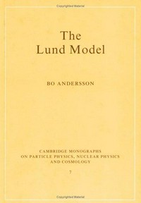 The lund model