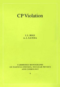CP violation