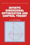 Infinite dimensional optimization and control theory