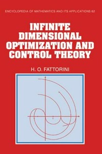 Infinite dimensional optimization and control theory