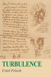 Turbulence: the legacy of A.N. Kolmogorov 