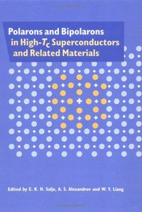 Polarons and bipolarons in high-Tc superconductors and related materials /