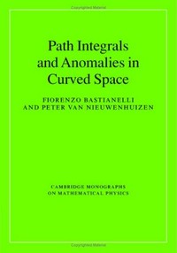 Path integrals and anomalies in curved space