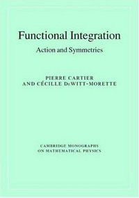Functional integration: action and symmetries