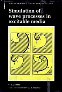 Simulation of wave processes in excitable media