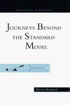 Journeys beyond the standard model