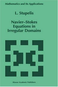 Navier-Stokes equations in irregular domains