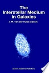 The interstellar medium in galaxies