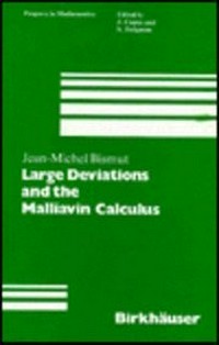 Large deviations and the Malliavin calculus