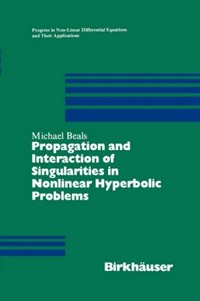 Propagation and interaction of singularities in nonlinear hyperbolic problems