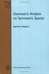 Geometric analysis on symmetric spaces