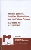 Minimal surfaces, stratified multivarifolds, and the Plateau problem