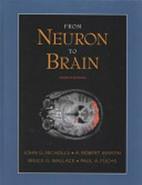 From neuron to brain