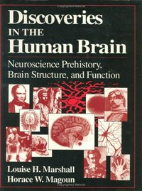 Discoveries in the human brain: neuroscience prehistory, brain structure, and function