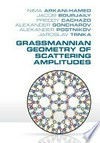 Grassmannian geometry of scattering amplitudes
