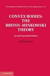 Convex bodies: the Brunn-Minkowski theory