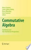 Commutative Algebra: Noetherian and Non-Noetherian Perspectives 